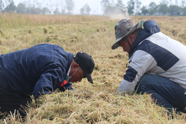 /gb2312/qishiyegonghui/13128.html